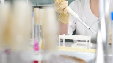 PCR laboratuvar tıbbi ekipmanları. Steril genetik laboratuvarında pipetle çalışan bilim adamının yakın çekimi. Araştırmacı DNA testi için moleküler genetik araştırma laboratuarında çalışıyor. 4 bin.