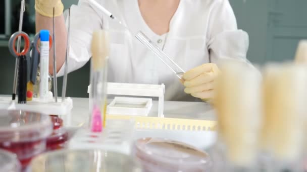 Laboratorní lékařské vybavení PCR. Detailní záběr vědce pracujícího ve sterilní genetické laboratoři s pipetou. Výzkumný pracovník pracuje v laboratoři molekulárního genetického výzkumu pro test DNA. 4 k — Stock video