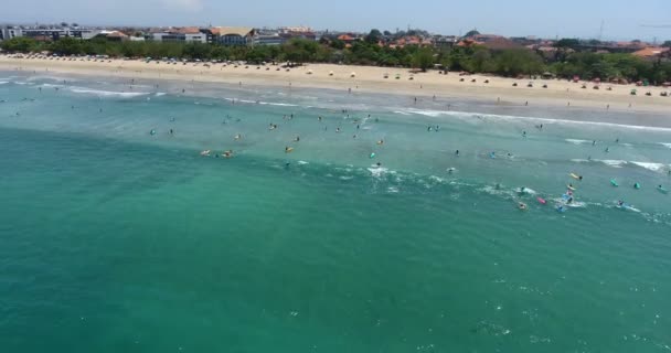 Flyfoto av svømmere med brett og surfere som fanger og rir på bølger i havet, Dreamland Beach, Bali, Indonesia. Surfekonsept, reisetid. Slapp av, sommerferie. 4 k video – stockvideo