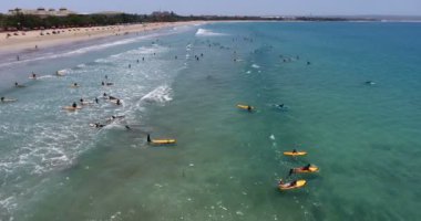 Seyahat zamanı. Rahatla, yaz tatili. Yüzen insanların, sörfçülerin okyanus, Rüya Diyarı, Bali, Endonezya 'da dalgaları yakalayıp yüzdüğü hava görüntüleri. Sörf konsepti, 4k video