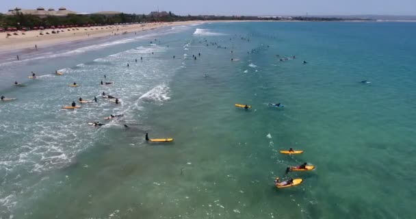 Seyahat zamanı. Rahatla, yaz tatili. Yüzen insanların, sörfçülerin okyanus, Rüya Diyarı, Bali, Endonezya 'da dalgaları yakalayıp yüzdüğü hava görüntüleri. Sörf konsepti, 4k video — Stok video