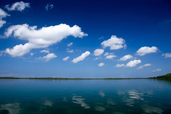 Denizden Island view mangrov orman — Stok fotoğraf