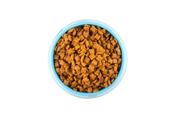 Comida seca para mascotas en cuenco de plástico cian —  Fotos de Stock