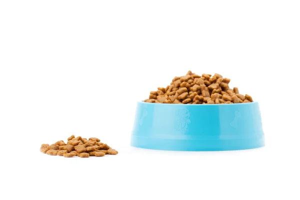Comida seca para mascotas en cuenco de plástico cian — Foto de Stock