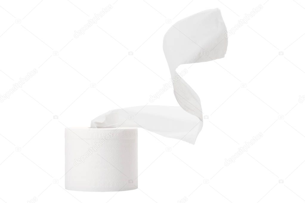 single rolled toilet paper 