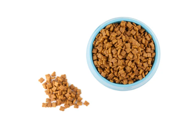 Pet dried food in cyan plastic bowl — Stock Photo, Image