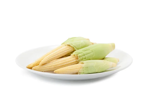 Kukurydza dziecka w białe płytki ceramiczne — Zdjęcie stockowe