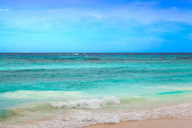 hız teknesi ve blue sea