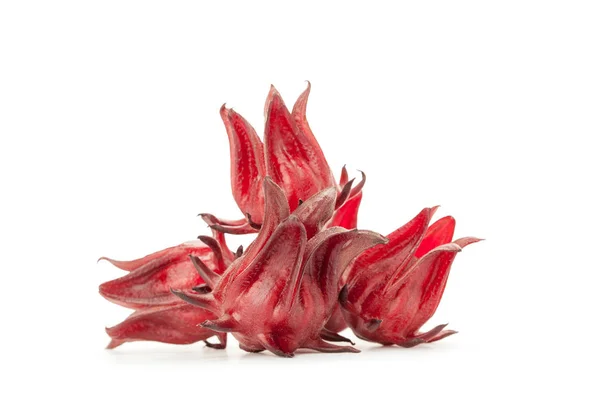 izole kırmızı roselle