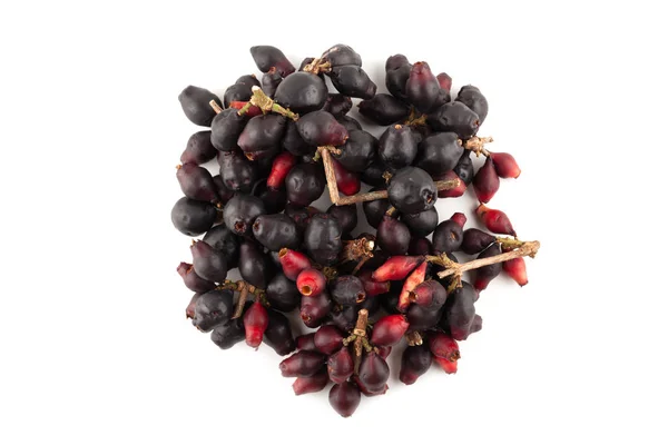 Syzygium cumini, ciruela negra, jamun o Syzygium cumini — Foto de Stock