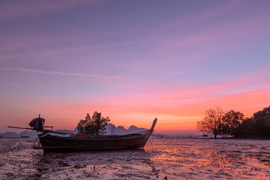 Phangnga Körfezi Tayland 'da sabah sular alçalırken balıkçı tekneleri demirledi.