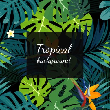 Renkli tropikal çiçek, bitki ve yaprak desen arka plan