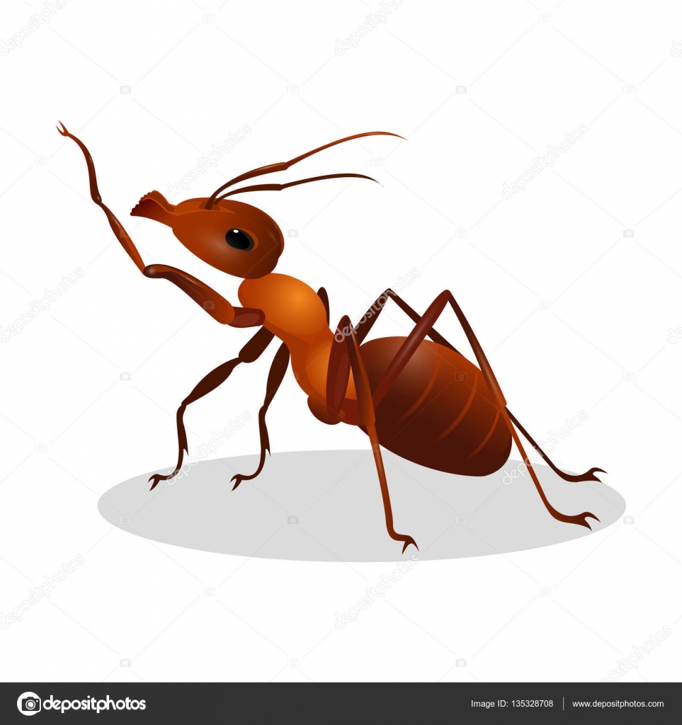 Premium Vector | Vector illustration of cartoon ant holding a green leaf