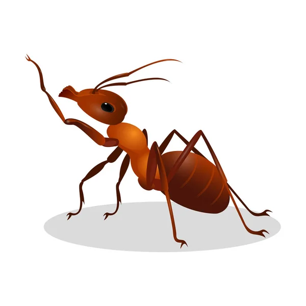 Cartoon realistic ant isolated on white. One leg raised up — Stock Vector