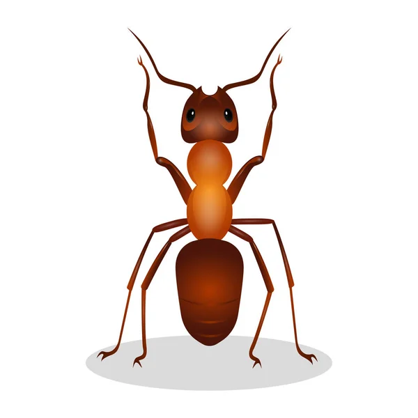 Realistic ant with two legs raised up  hooked clows isolated