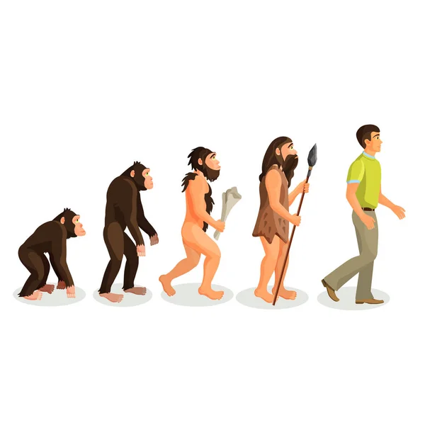 Evolution ape to man process and related concepts. — Stock Vector