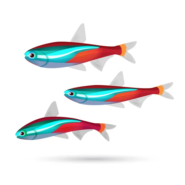 Acuario tropical de peces sobre fondo blanco. Habitantes marinos de neón — Vector de stock