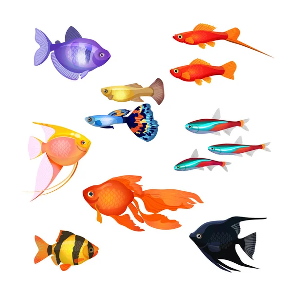 Set of aquarium fish. Realistic and fairytale underwater characters. — Stock Vector