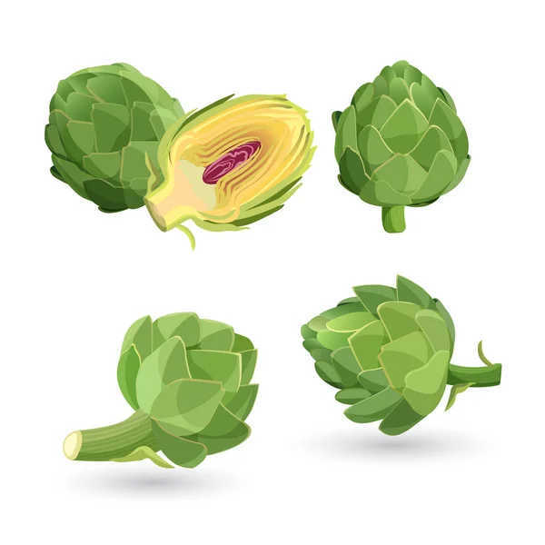 Alcachofra de flores verdes cabeças isoladas. Ilustração vetorial de vegetais comestíveis — Vetor de Stock
