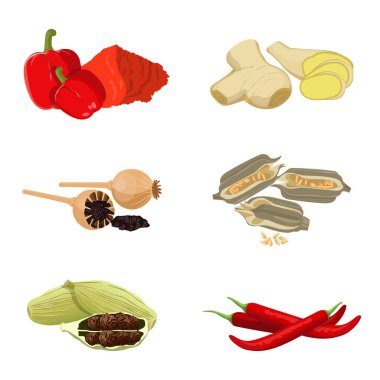Kırmızı biber, haşhaş tohumu, zencefil, redchili, susam parçası