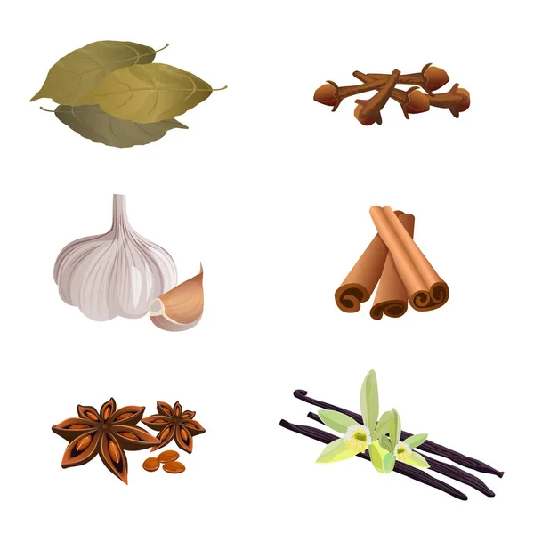 大蒜、 肉桂、 干的丁香，月桂叶、 八角、 香草 — 图库矢量图片