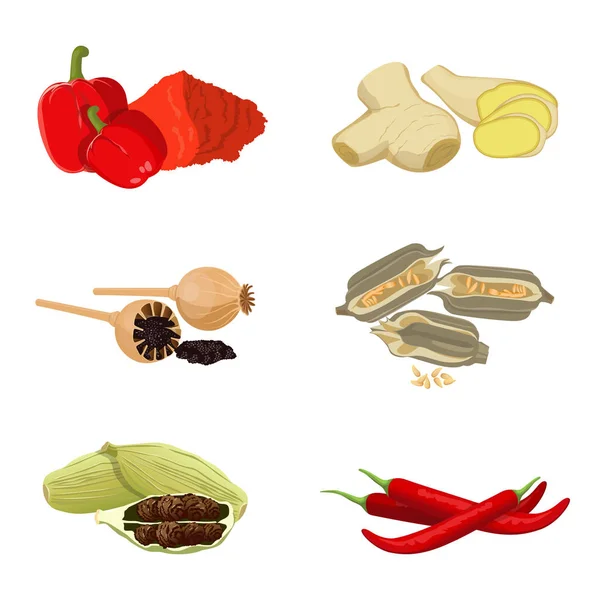 Roter Paprika, Mohn, Ingwerstückchen, roter Chili, Sesam — Stockvektor