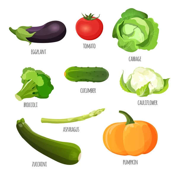 Grönsaker set. Aubergine, tomat, kål, broccoli, gurka, blomkål, pumpa, zucchini — Stock vektor