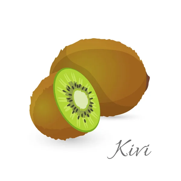 Kiwi fruits exotiques entier et la moitié. Kiwis groseille à maquereau baie comestible — Image vectorielle