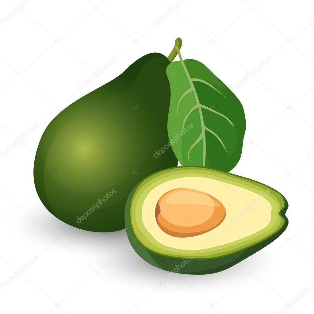 Ripe avocado cut in half with leaf vector illustration.