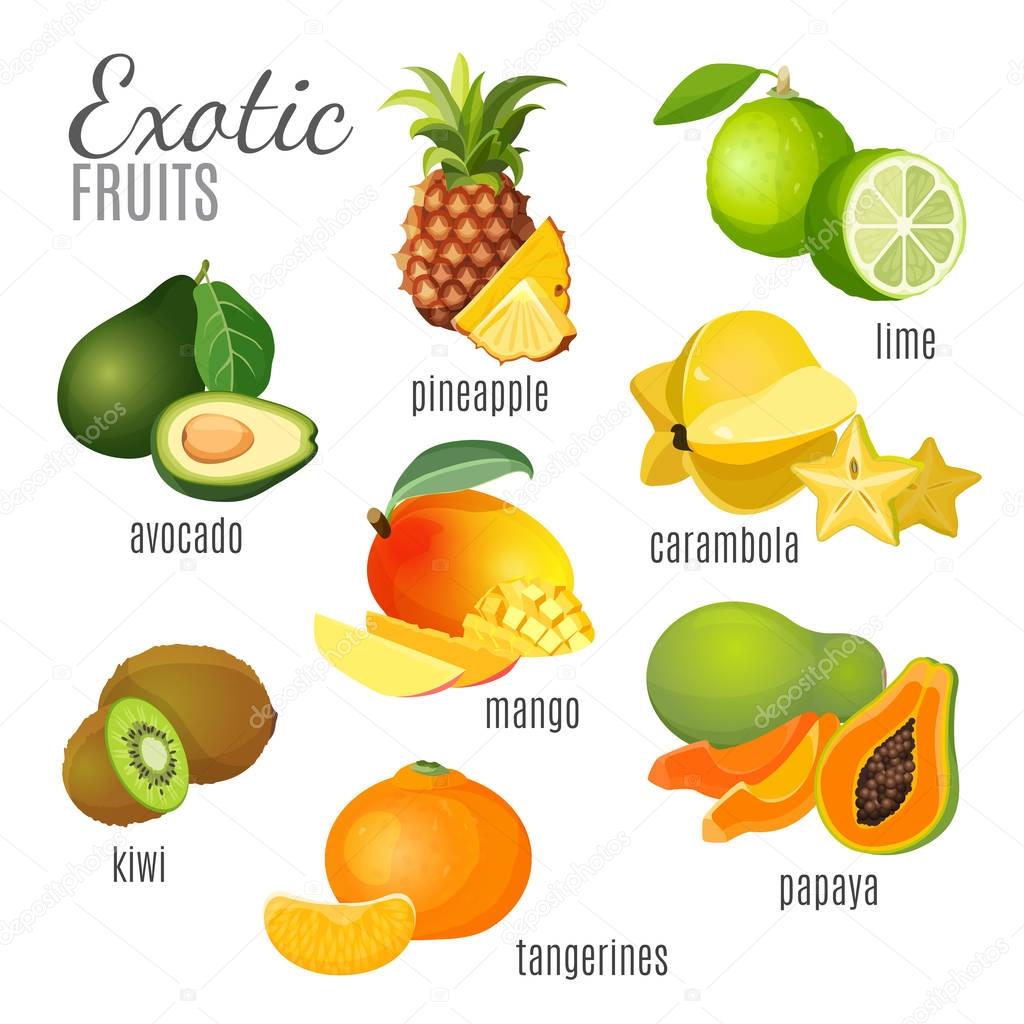 Exotic fruits avocado, pineapple, papaya, tangerine, mango, kiwi, carambola, lime