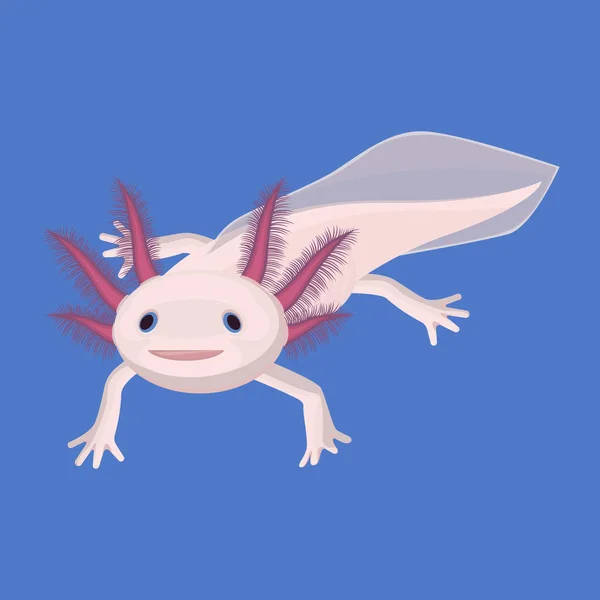 Axolotl рожевий ізольований з чотирма ногами на білому. Водні тварини — стоковий вектор