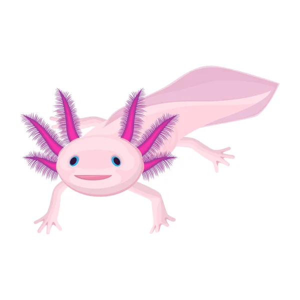 ᐈ Axolotl Drawing Stock Vectors Royalty Free Axolotl Illustrations Download On Depositphotos