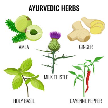 Kutsal fesleğen, kırmızı biber, süt thistle, zencefil kökü ve amla