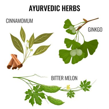 Ayurveda otlar üzerinde beyaz izole bitki dallar kümesi.