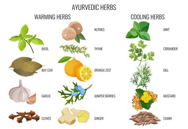 Isınma ve soğutma otlar afiş Ayurveda