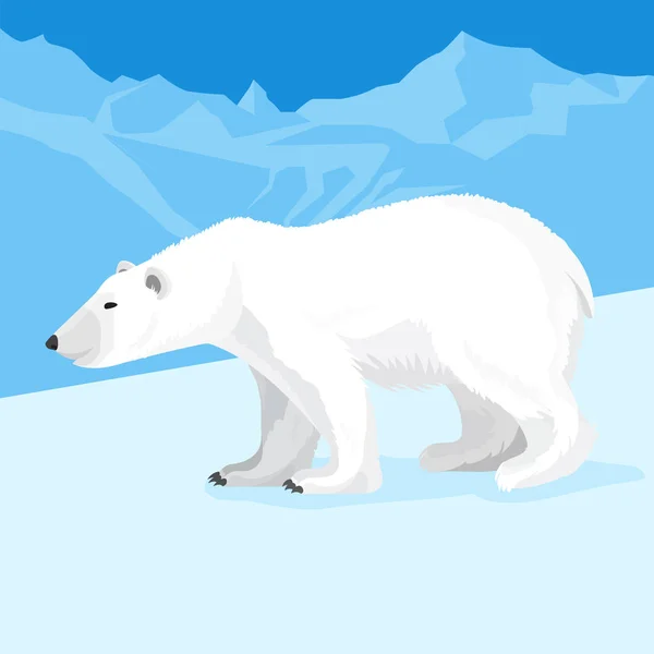Big polar bear at north pole cartoon style. Vector illustration — Stock Vector