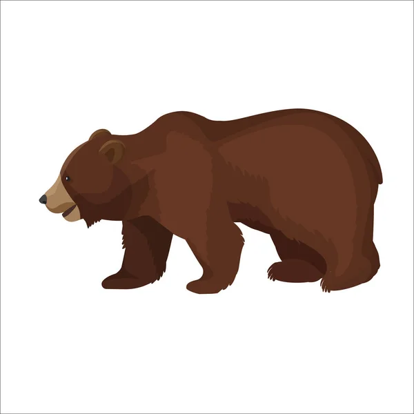 Large brown bear side view close-up graphic icon on white — Stock Vector