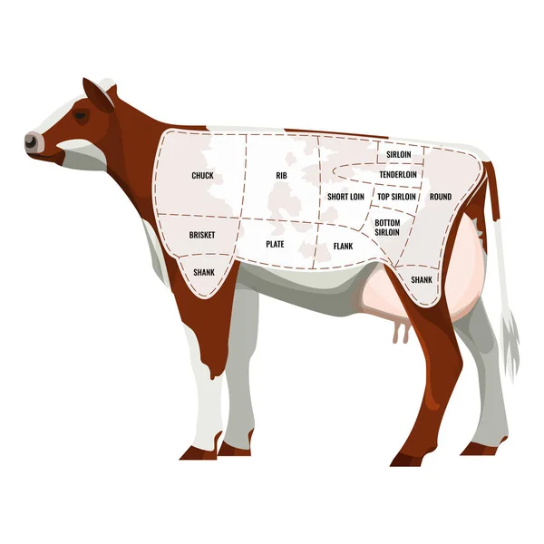 Pedaços de bife Caw, gado bovino dividido em departamentos ícone isolado — Vetor de Stock