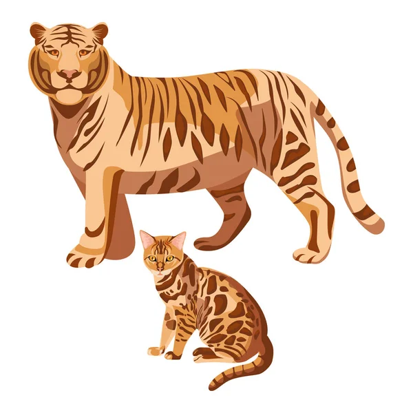 Bengal katter isolerade på vitt. Stora tiger och lilla kattunge — Stock vektor