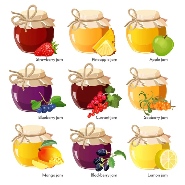 Gläser mit roter Erdbeere, gesunder Ananas, Apfel und Blaubeermarmelade — Stockvektor
