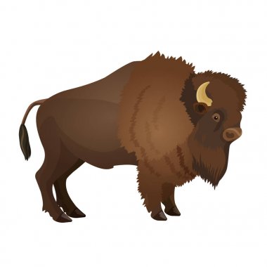 Bison large even-toed ungulate realistic vector illustration i clipart