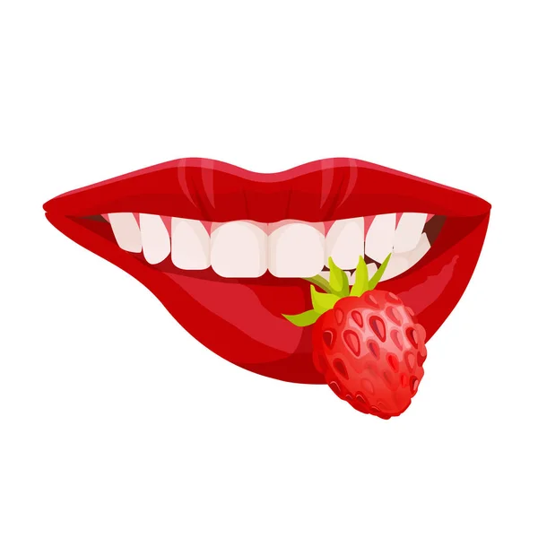 Sexy üppige Lippen mit idealen weißen Zähnen, die Erdbeervektor halten — Stockvektor