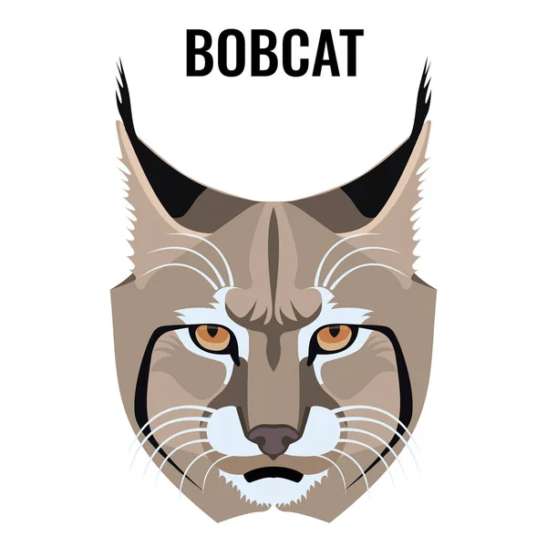 Retrato de la ilustración del vector bobcat aislado en blanco. Especie de gato — Archivo Imágenes Vectoriales