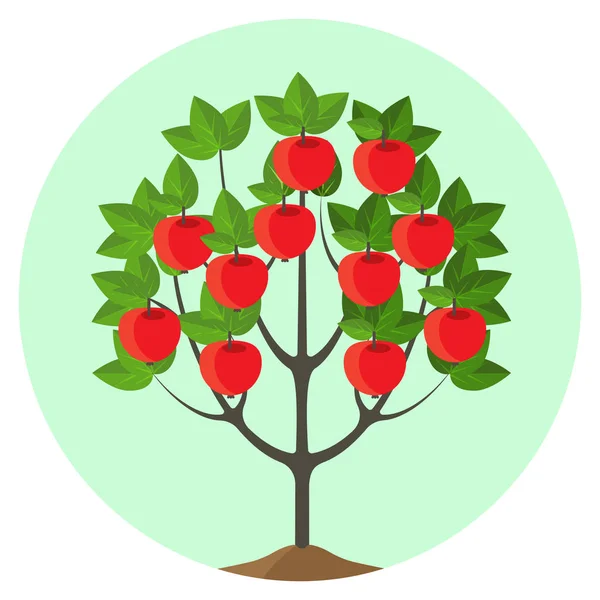 Apfelbaum mit reifen Früchten Vektor Illustration in runden Knopf. — Stockvektor