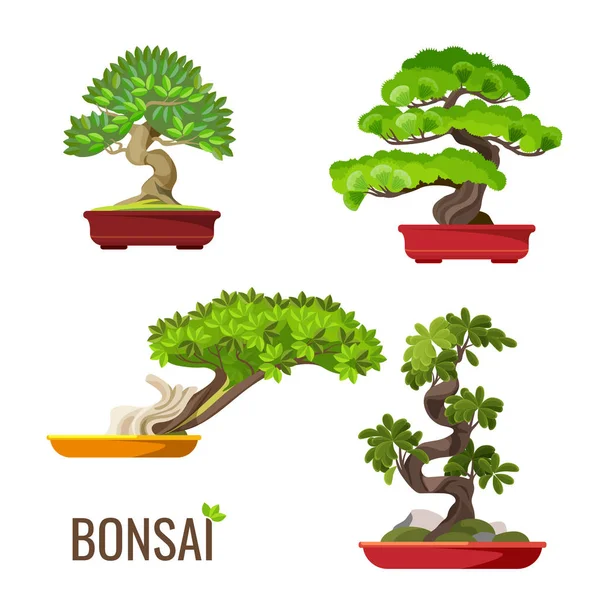 Conjunto de bonsái árboles japoneses cultivados en contenedores vector ilustración — Vector de stock