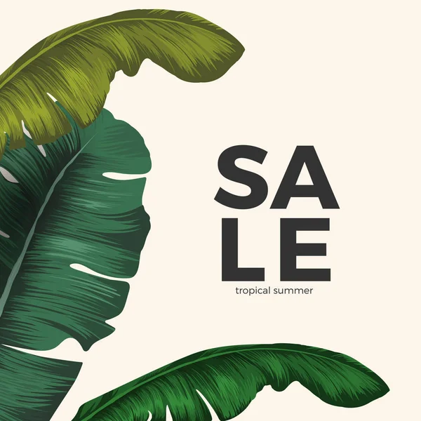 Vente affiche tropicale d'été avec des feuilles de jungle isolées sur blanc — Image vectorielle