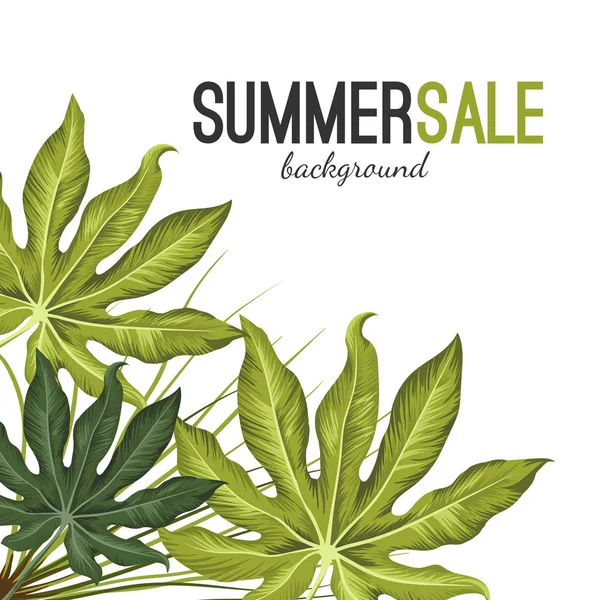 Fond de vente d'été avec feuillage exotique tropical vert isolé sur blanc . — Image vectorielle
