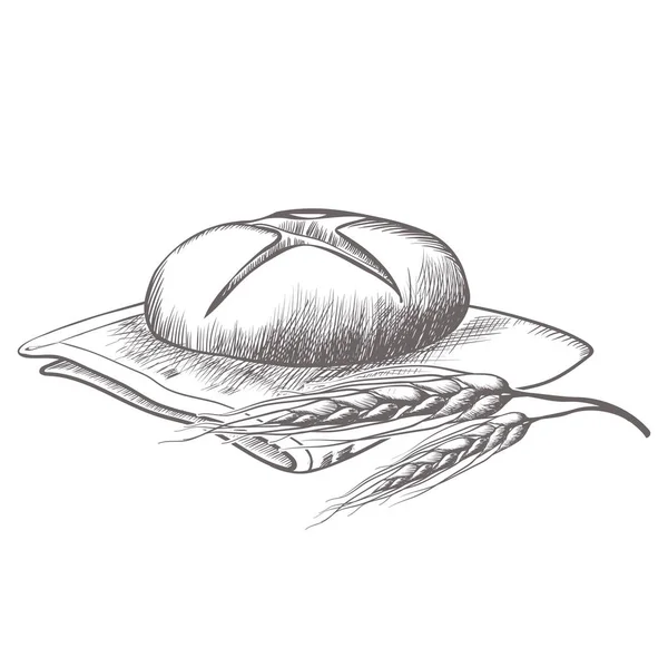 Handzeichnung von rundem Brot isolierte Abbildung auf Weiß — Stockvektor
