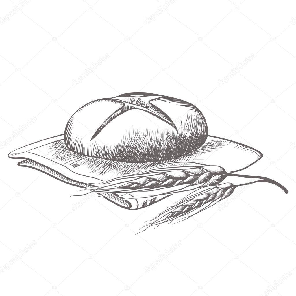 Hand drawing of round bread isolated illustration on white