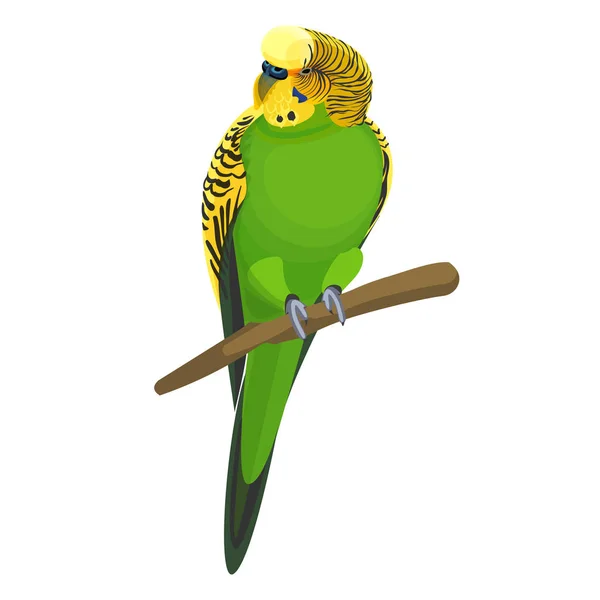 Budgerigar común o concha periquito informalmente apodado periquito vector ilustración — Archivo Imágenes Vectoriales